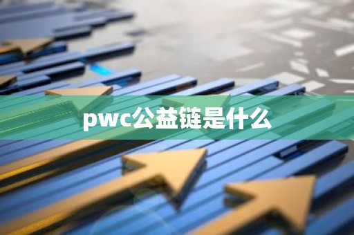 pwc公益链是什么