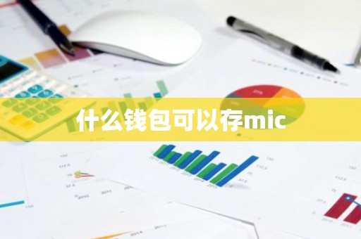 什么钱包可以存mic