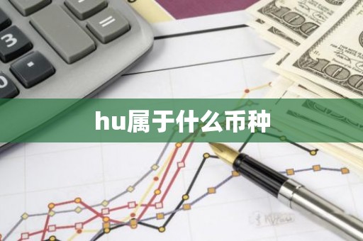 hu属于什么币种