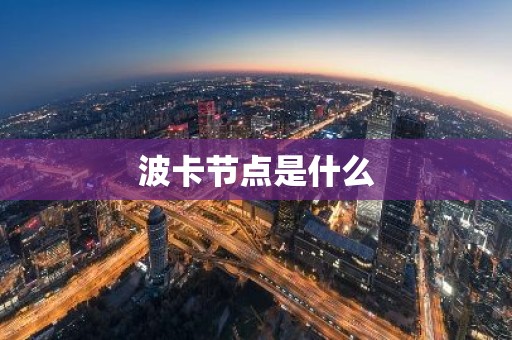 波卡节点是什么