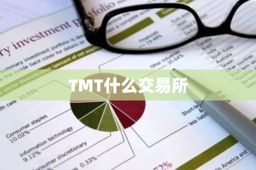 TMT什么交易所