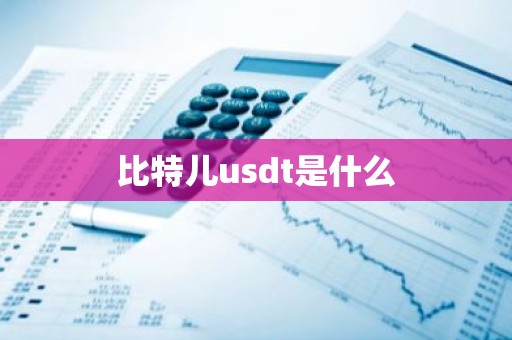 比特儿usdt是什么
