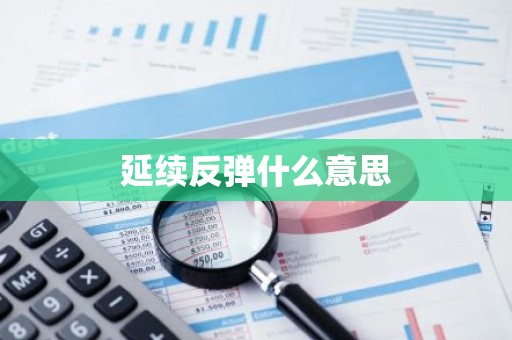 延续反弹什么意思