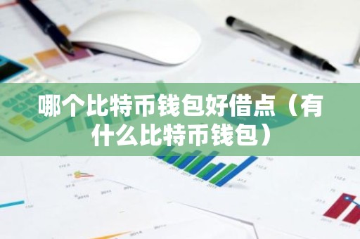 哪个比特币钱包好借点（有什么比特币钱包）