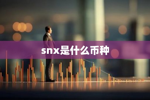 snx是什么币种