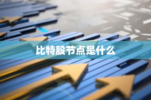 比特股节点是什么