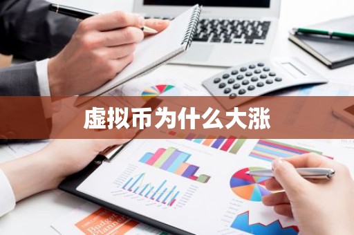 虚拟币为什么大涨