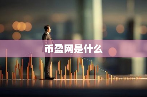 币盈网是什么