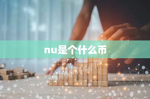 nu是个什么币