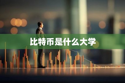 比特币是什么大学