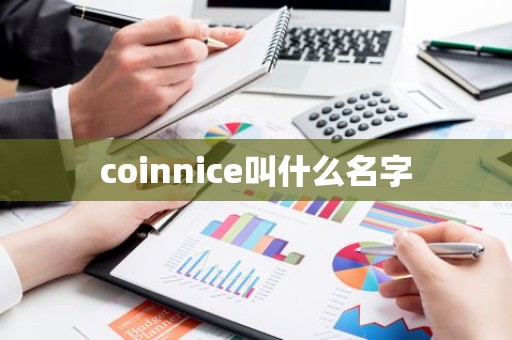 coinnice叫什么名字