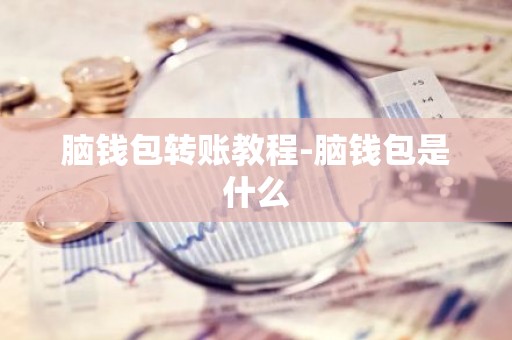 脑钱包转账教程-脑钱包是什么
