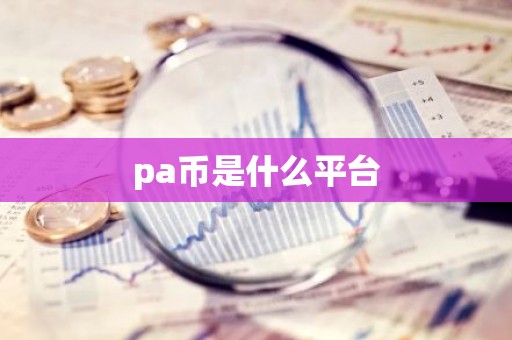 pa币是什么平台