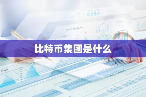 比特币集团是什么