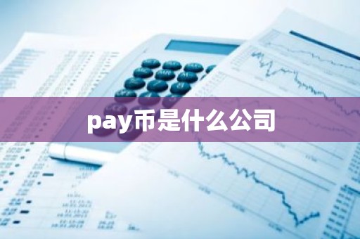 pay币是什么公司