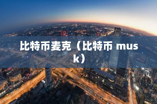 比特币麦克（比特币 musk）