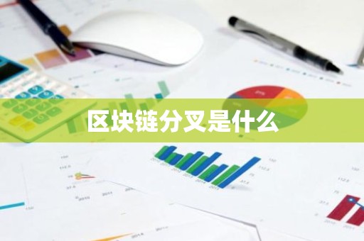 区块链分叉是什么
