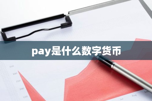 pay是什么数字货币