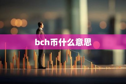 bch币什么意思