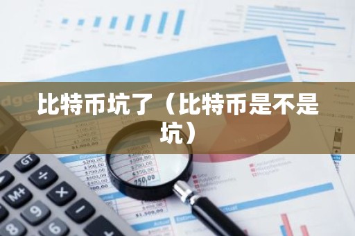 比特币坑了（比特币是不是坑）