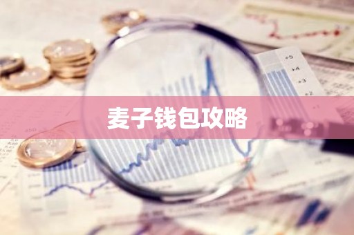 麦子钱包攻略