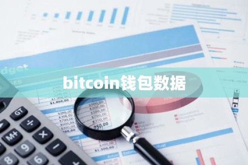 bitcoin钱包数据