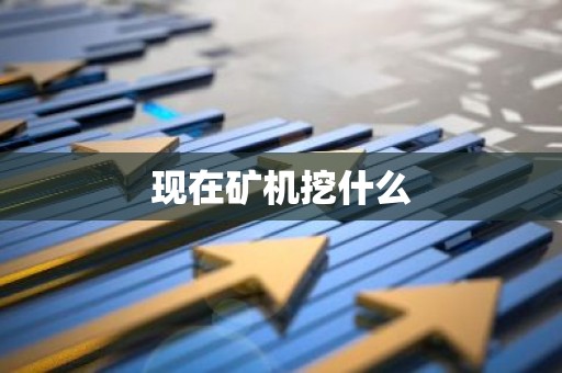 现在矿机挖什么