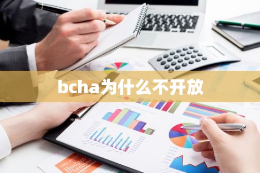 bcha为什么不开放