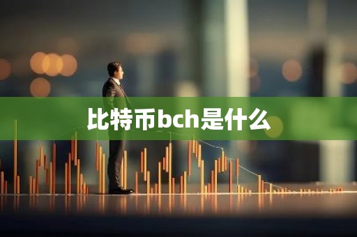 比特币bch是什么