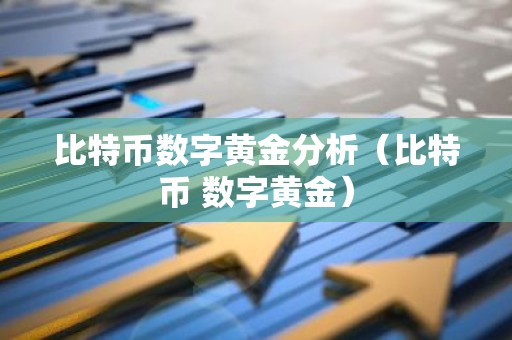 比特币数字黄金分析（比特币 数字黄金）