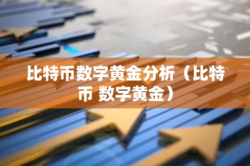 比特币数字黄金分析（比特币 数字黄金）