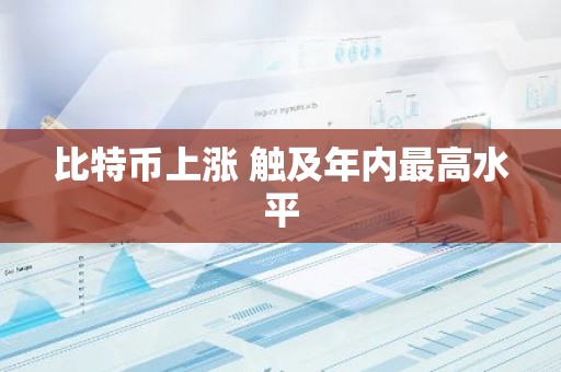比特币上涨 触及年内最高水平