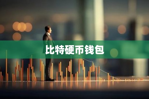 比特硬币钱包