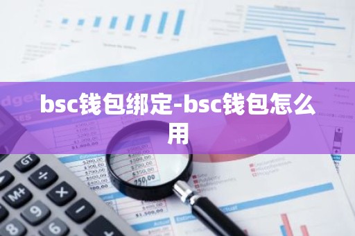bsc钱包绑定-bsc钱包怎么用
