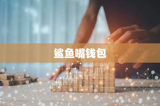 鲨鱼嘴钱包
