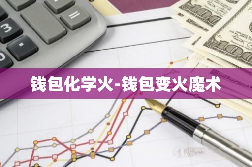 钱包化学火-钱包变火魔术