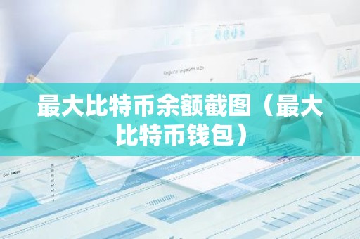 最大比特币余额截图（最大比特币钱包）