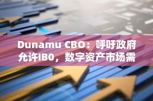 Dunamu CBO：呼吁政府允许IB0，数字资产市场需要与现有市场区分开