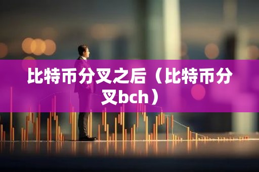 比特币分叉之后（比特币分叉bch）