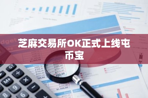 芝麻交易所OK正式上线屯币宝