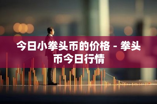 今日小拳头币的价格 - 拳头币今日行情