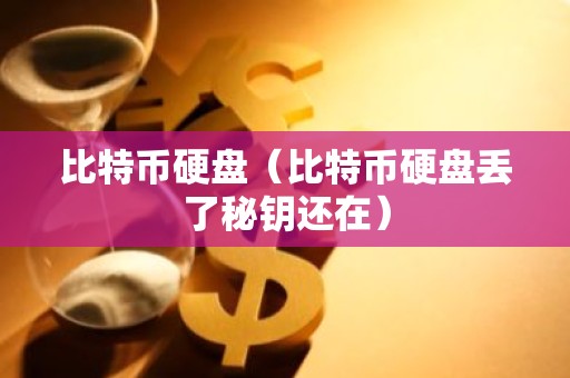 比特币硬盘（比特币硬盘丢了秘钥还在）