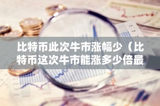 比特币此次牛市涨幅少（比特币这次牛市能涨多少倍最新消息）