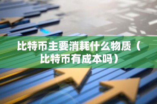 比特币主要消耗什么物质（比特币有成本吗）