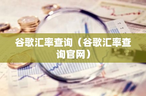 谷歌汇率查询（谷歌汇率查询官网）