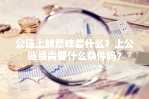 公链上线意味着什么？上公链是需要什么条件吗？