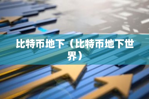 比特币地下（比特币地下世界）