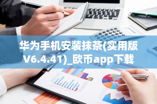 华为手机安装抹茶(实用版V6.4.41)_欧币app下载