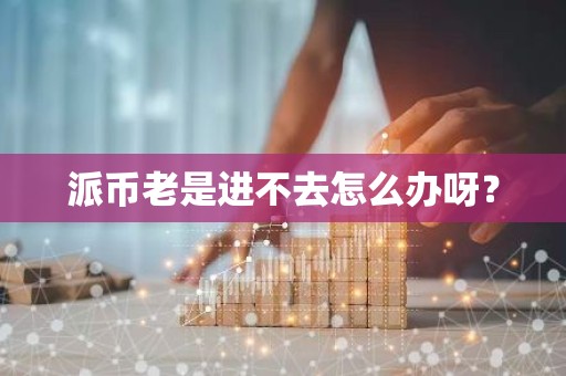 派币老是进不去怎么办呀？