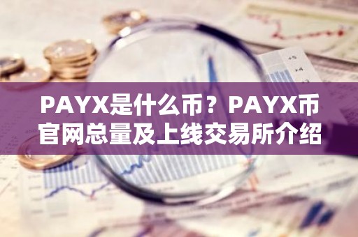 PAYX是什么币？PAYX币官网总量及上线交易所介绍